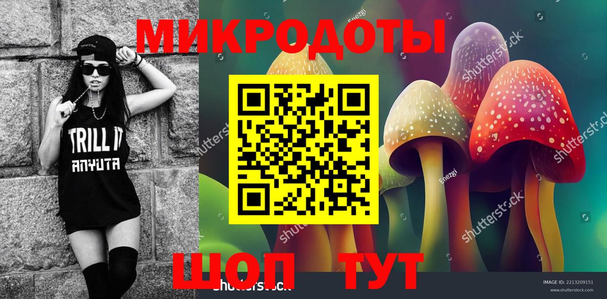 Псилоцибиновые грибы Cubensis Мурино